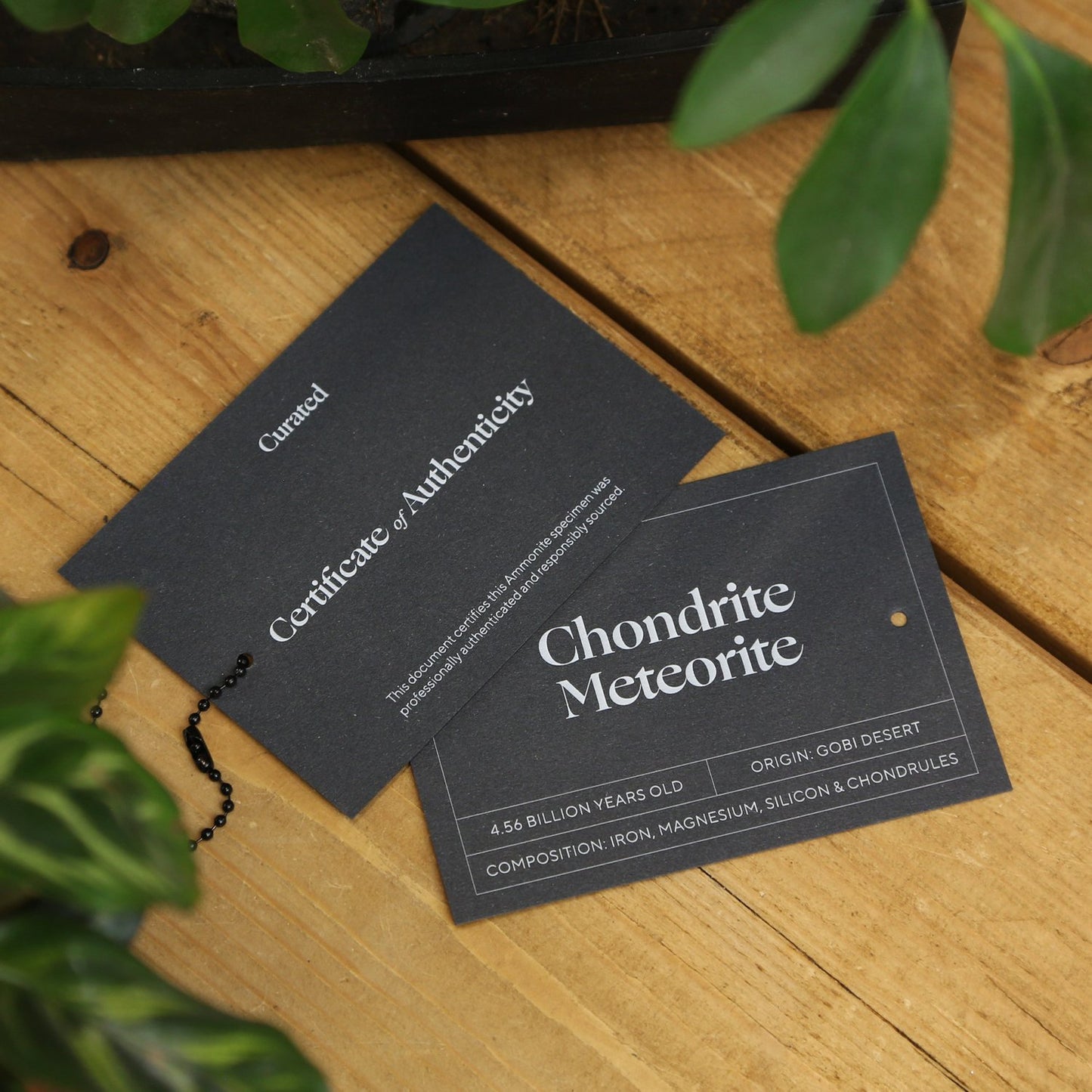 Chondrite Meteorite