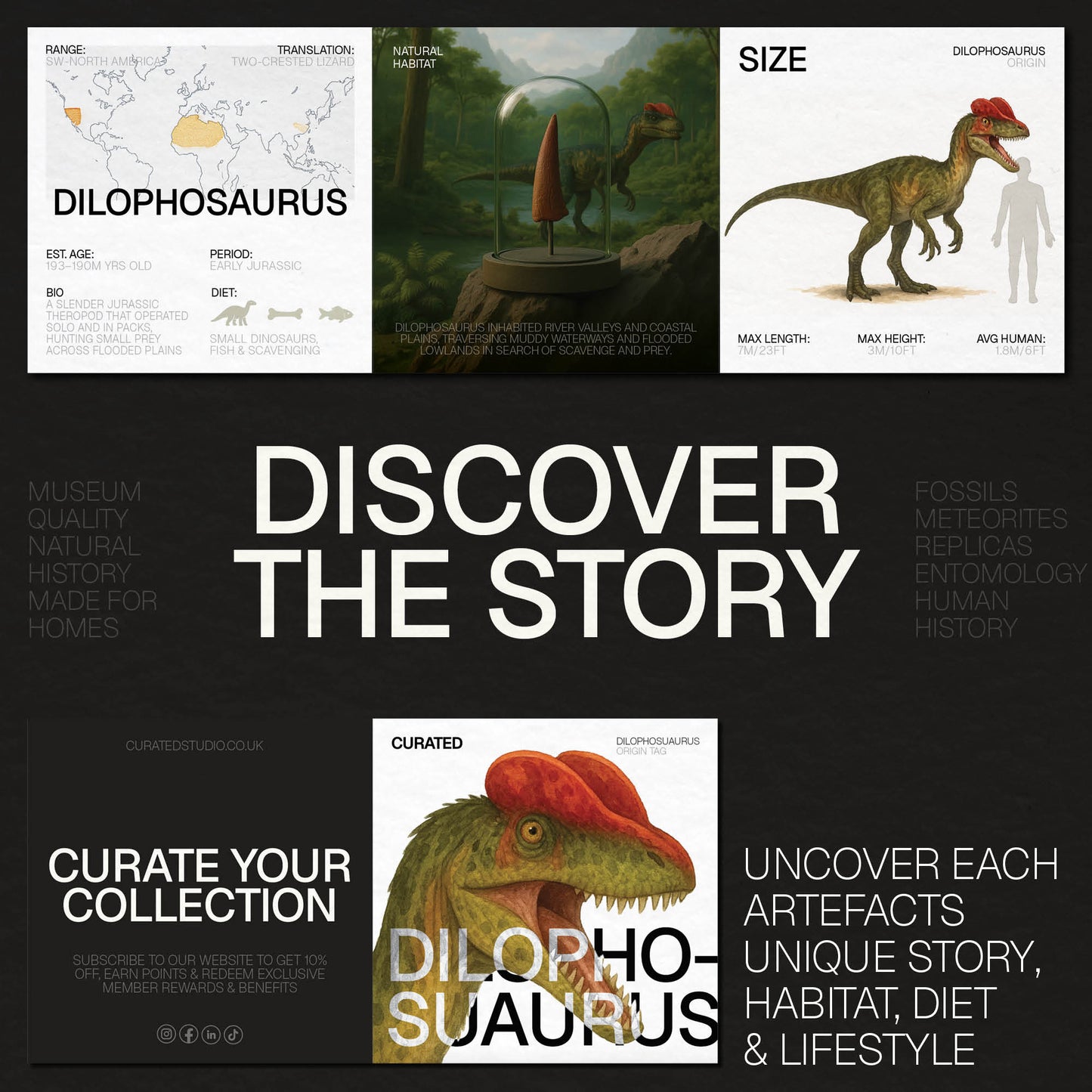Dilophosaurus