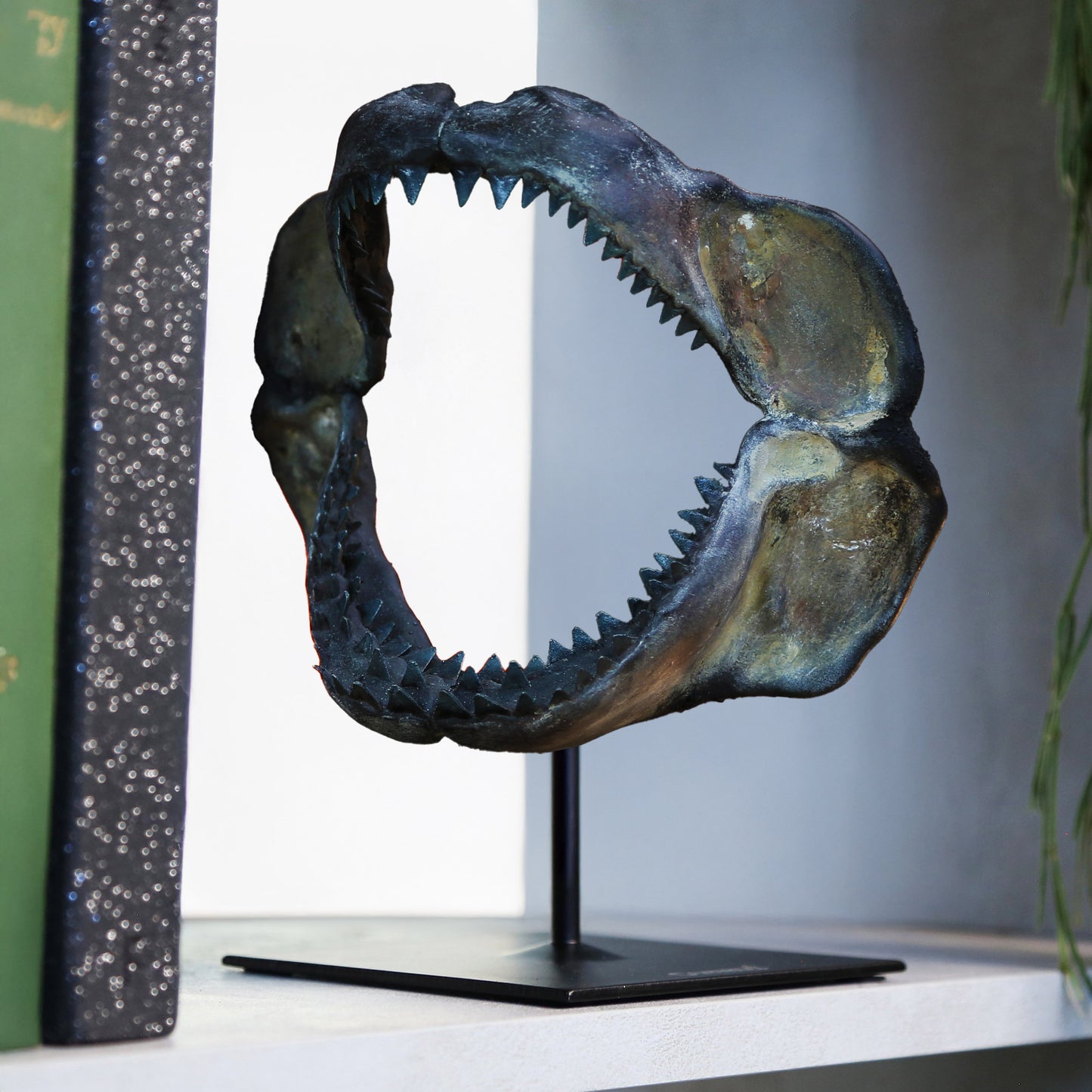 Megalodon