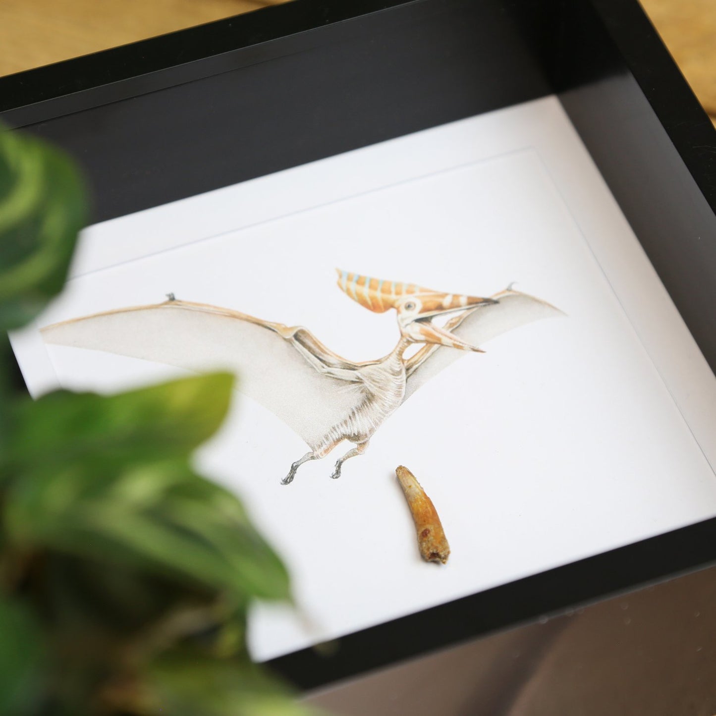 Pterosaur Tooth