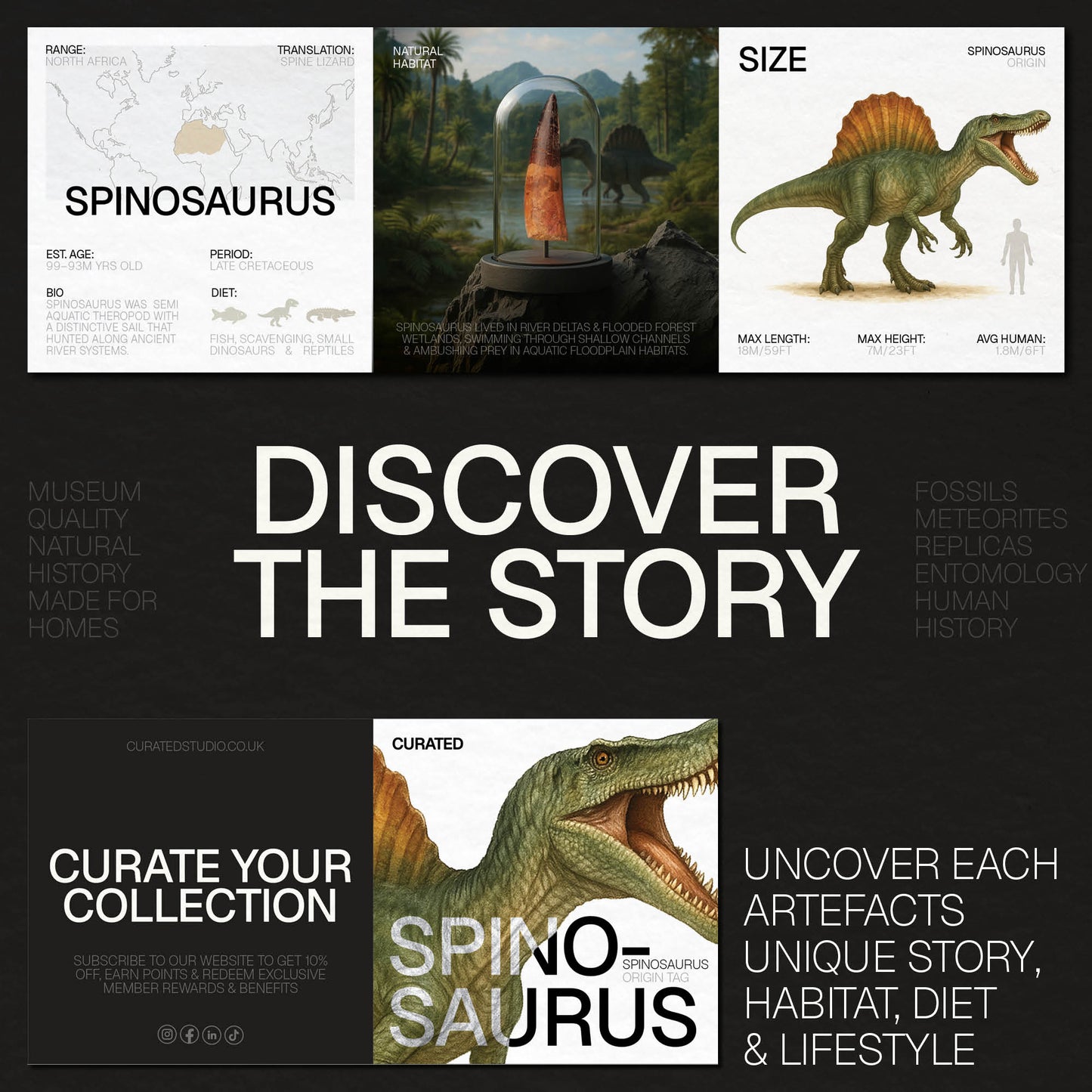 Spinosaurus