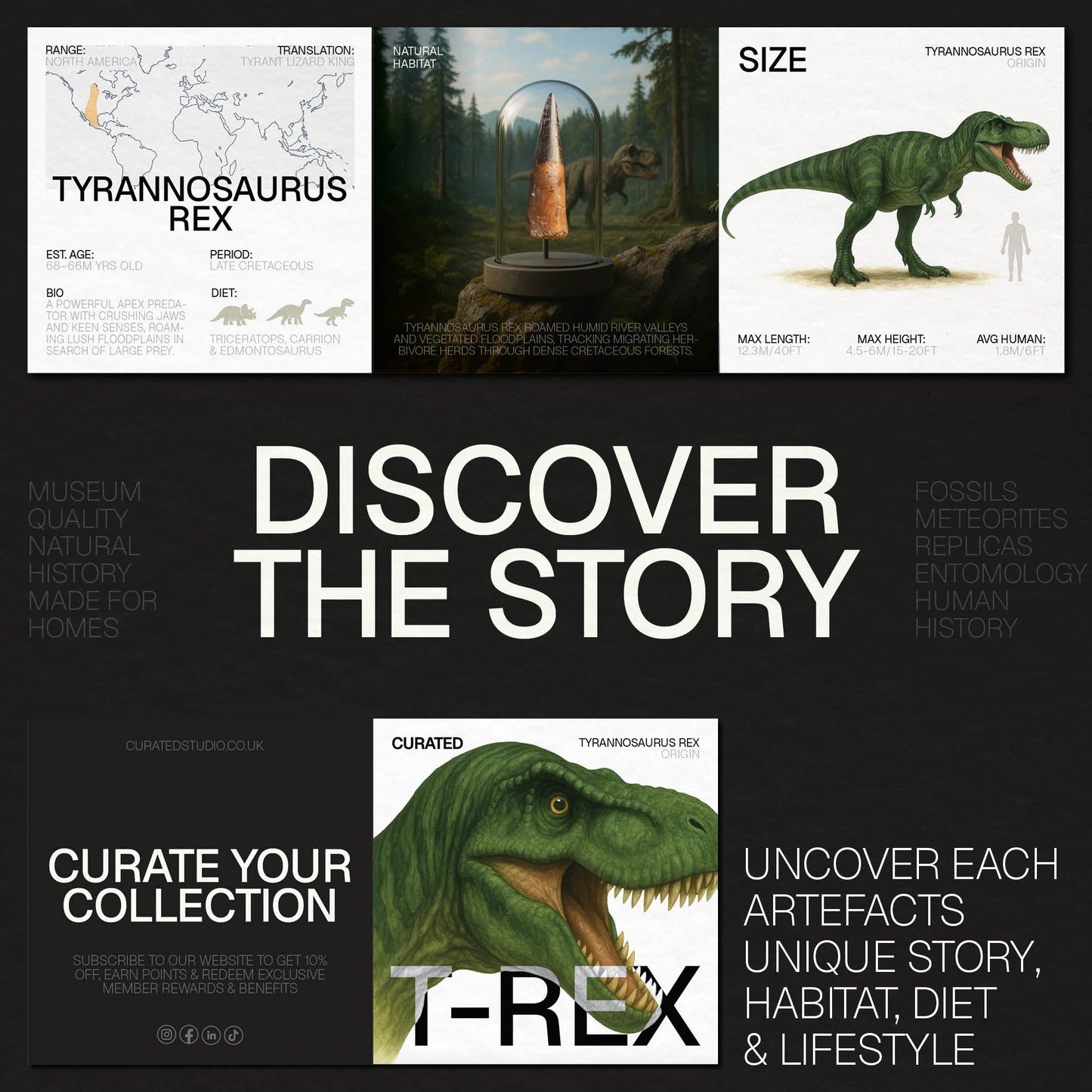 Tyrannosaurus Rex