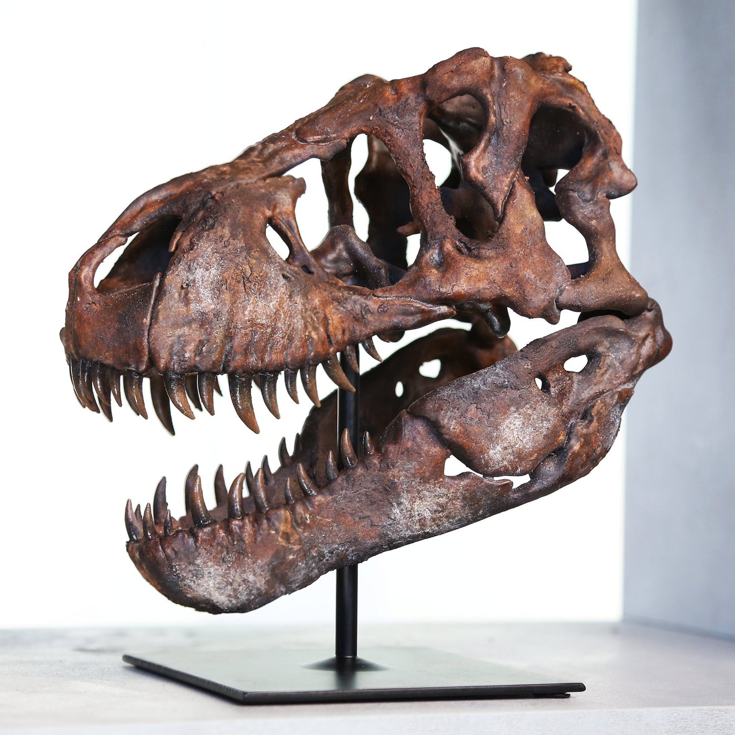 Tyrannosaurus Rex