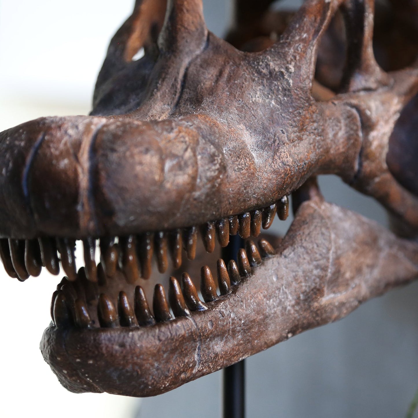 Brachiosaurus