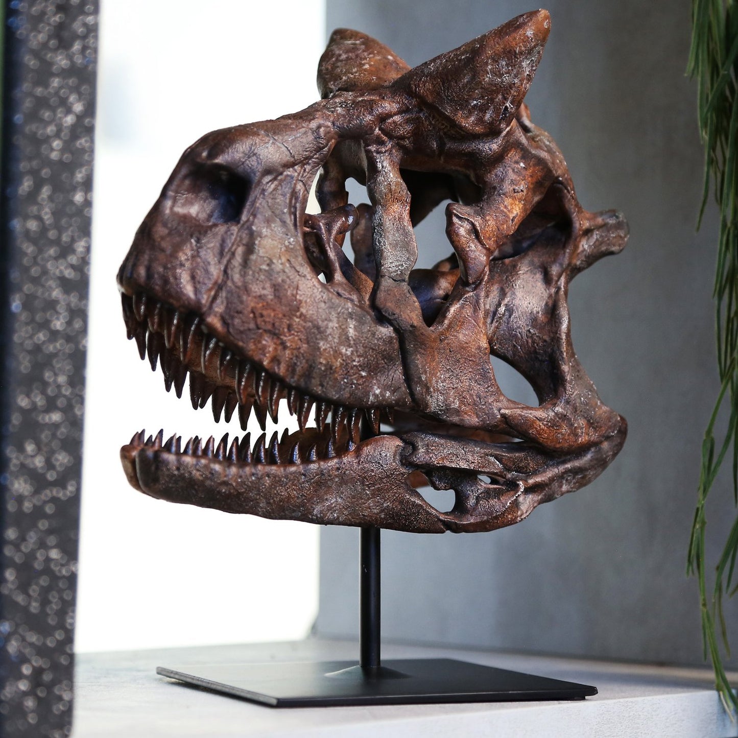 Carnotosaurus