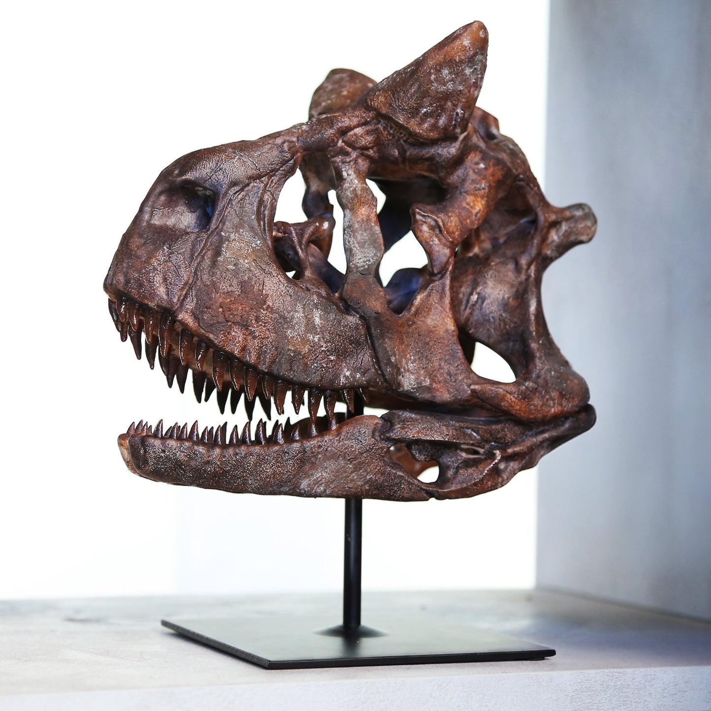 Carnotosaurus