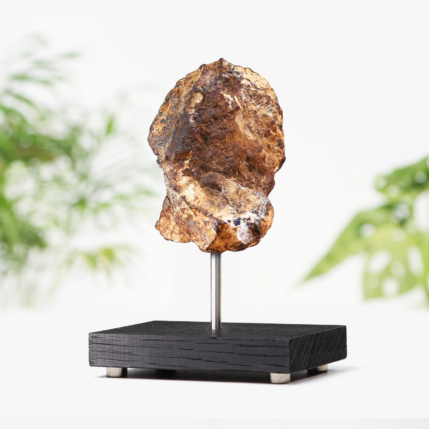 Chondrite Meteorite