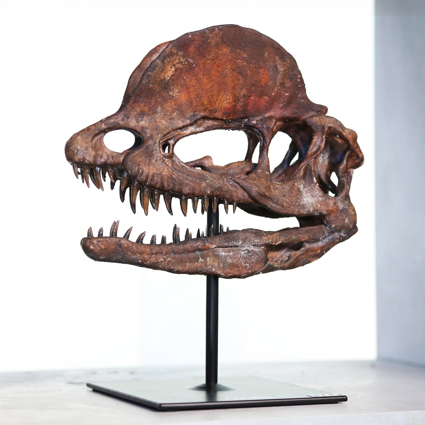 Dilophosaurus