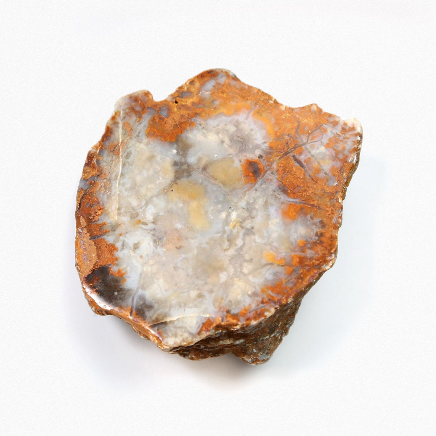 Polished Dinosaur Dung