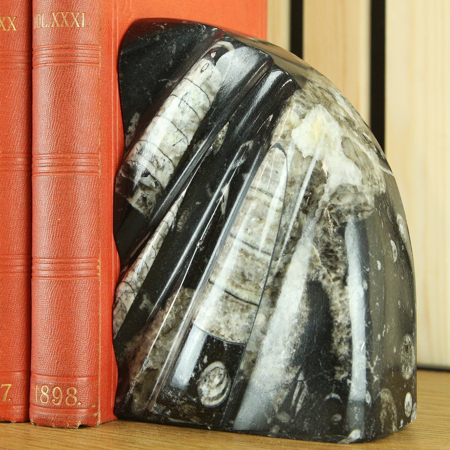 Black Marble & Belemnite Bookends