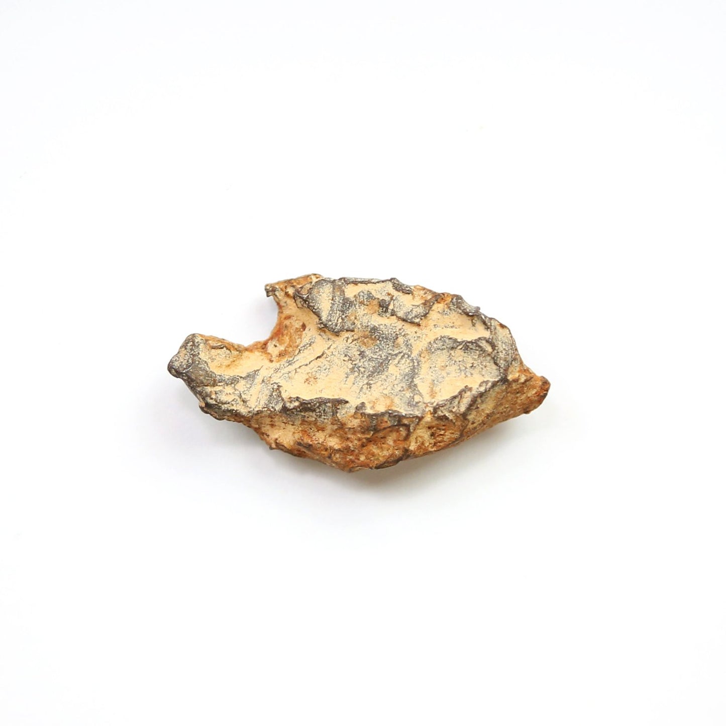 Gebel-Kamil Meteorite