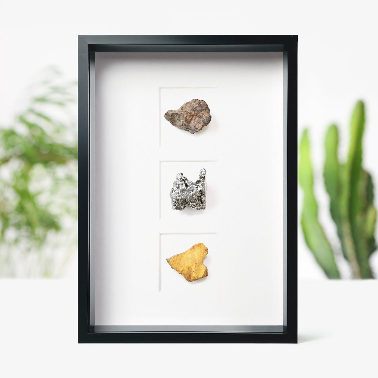 Meteorite Collection