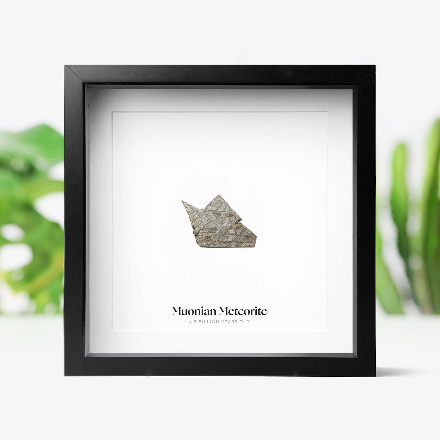 Muonian Meteorite