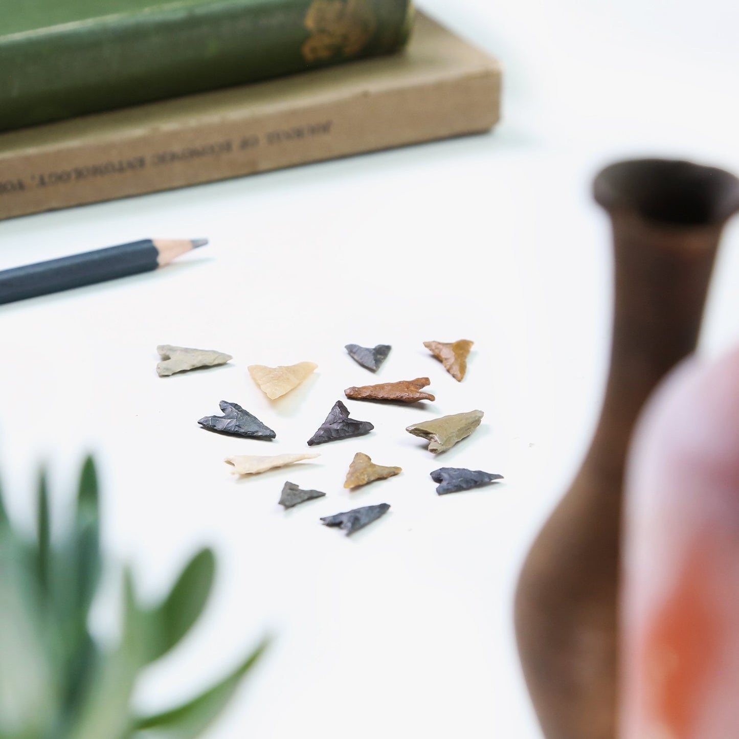 Neolithic Arrowhead Collection