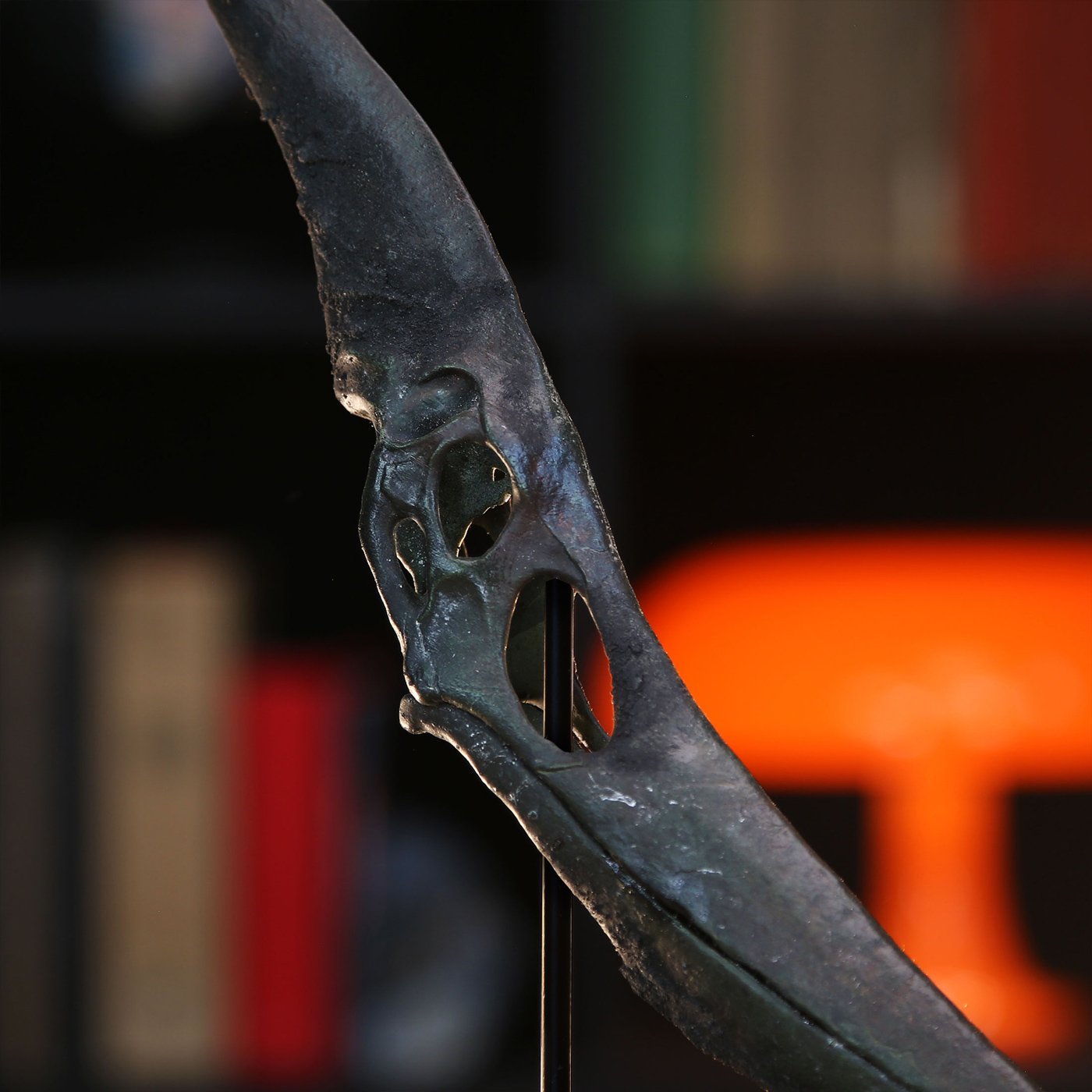 Pterosaur