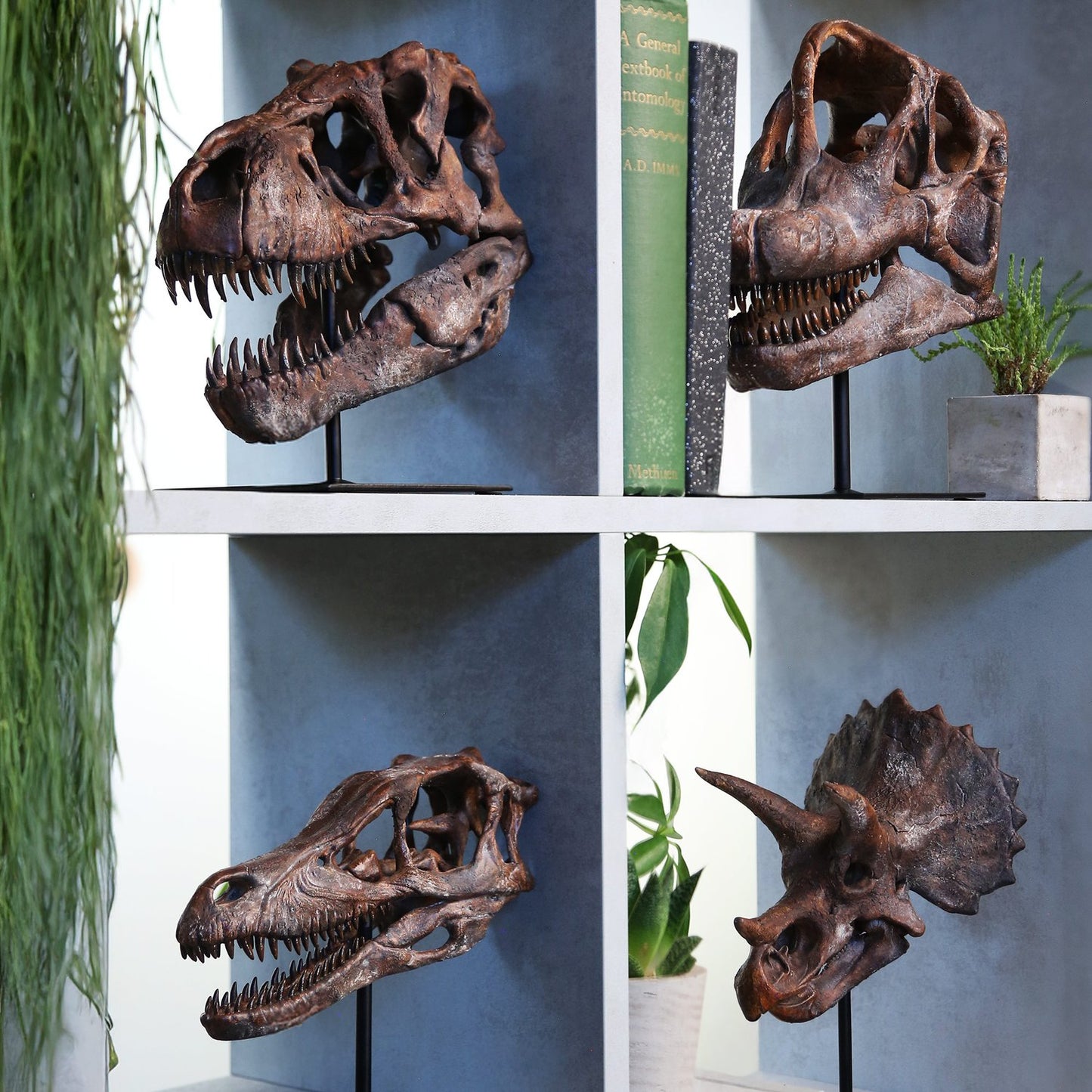 Brachiosaurus