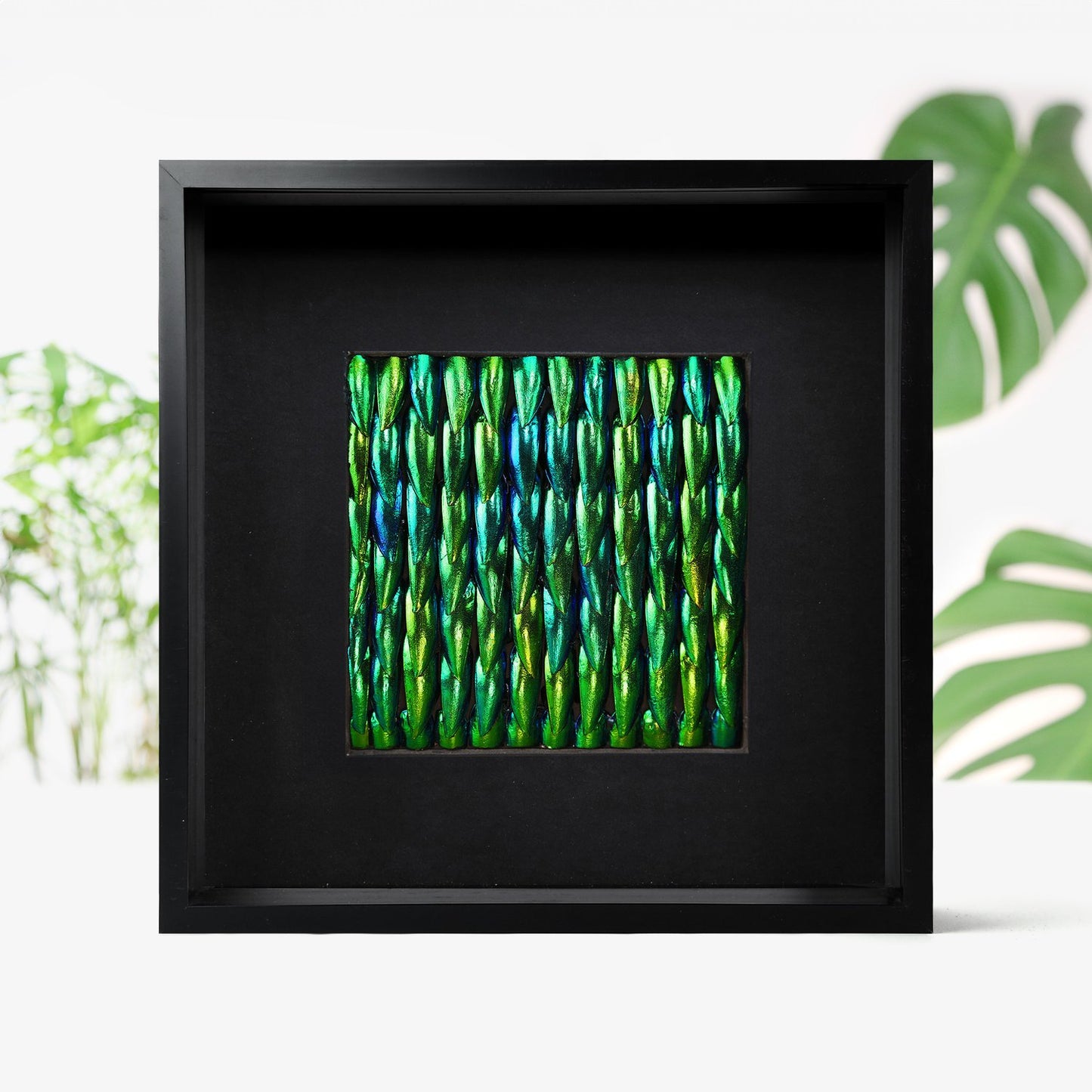 Zeleney Metamorphosis Elytra Beetle Wing Mosaic