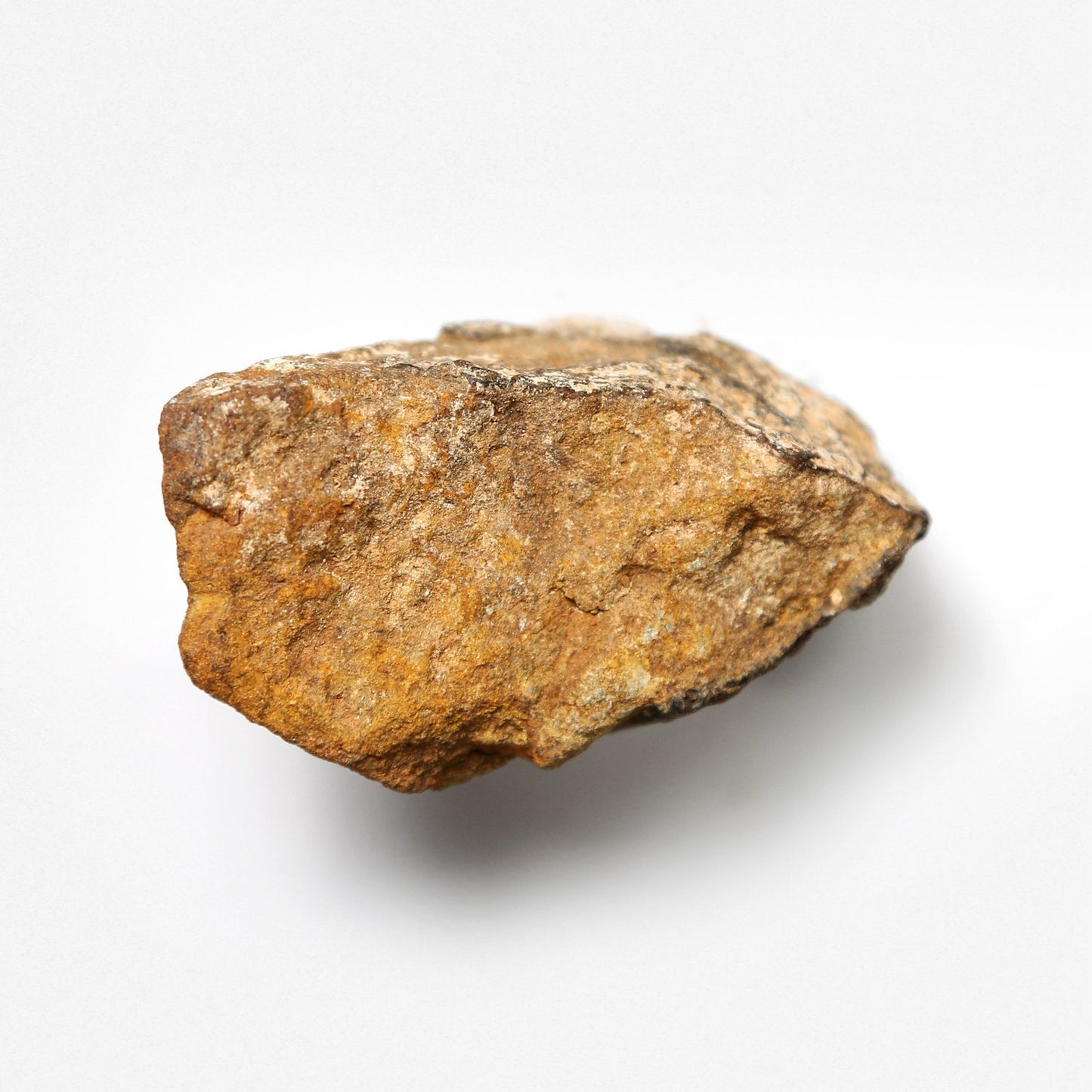 Stoney Saharan