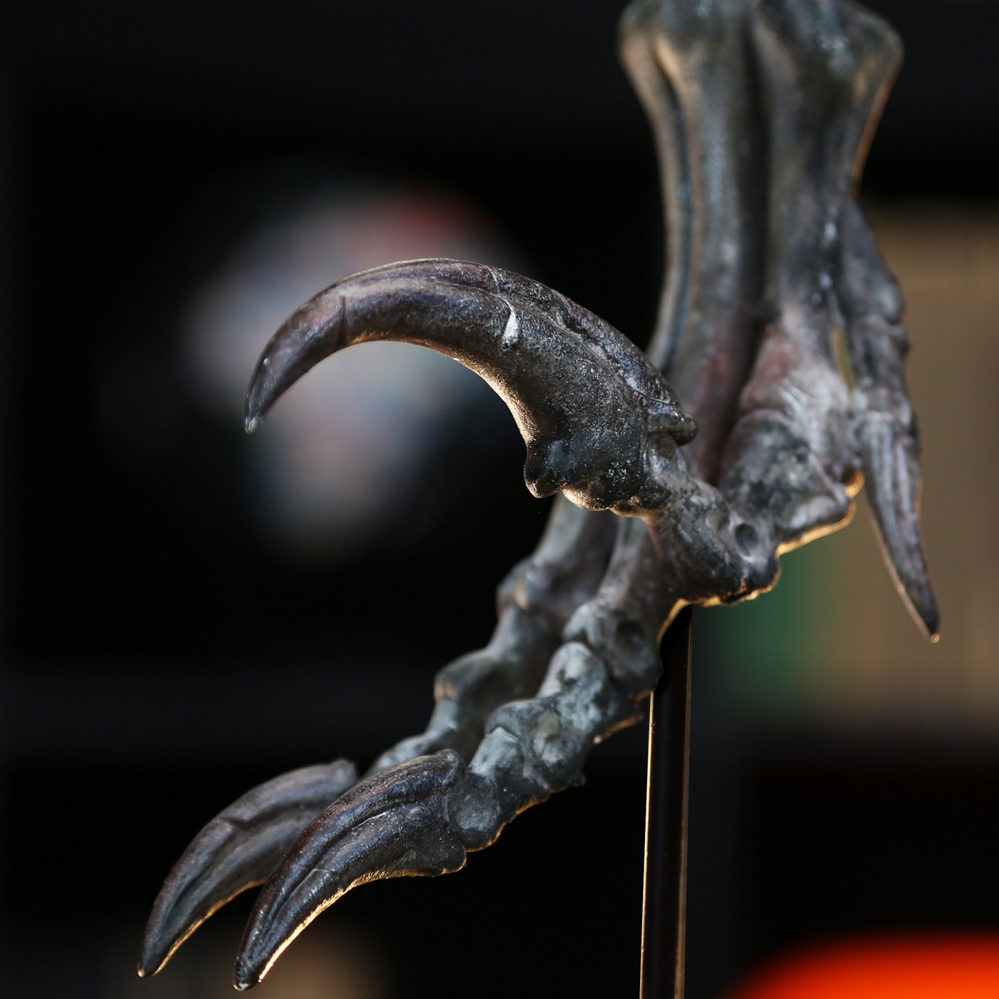 Velociraptor Killing Claw