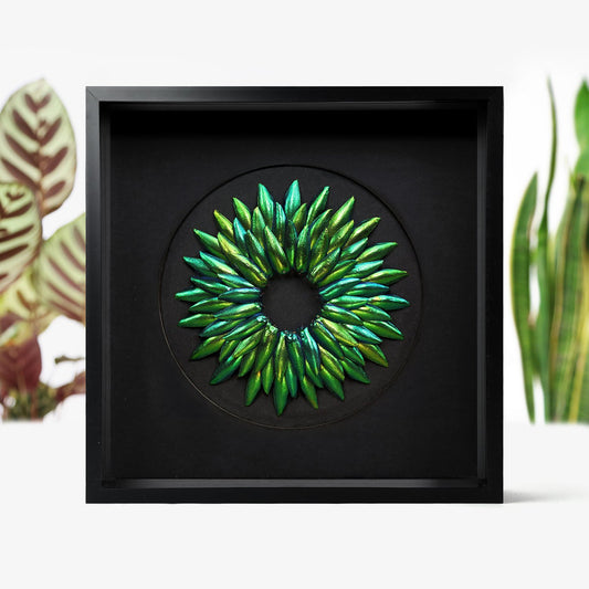 Amaryllis Metamorphosis Elytra Beetle Wing Mosaic