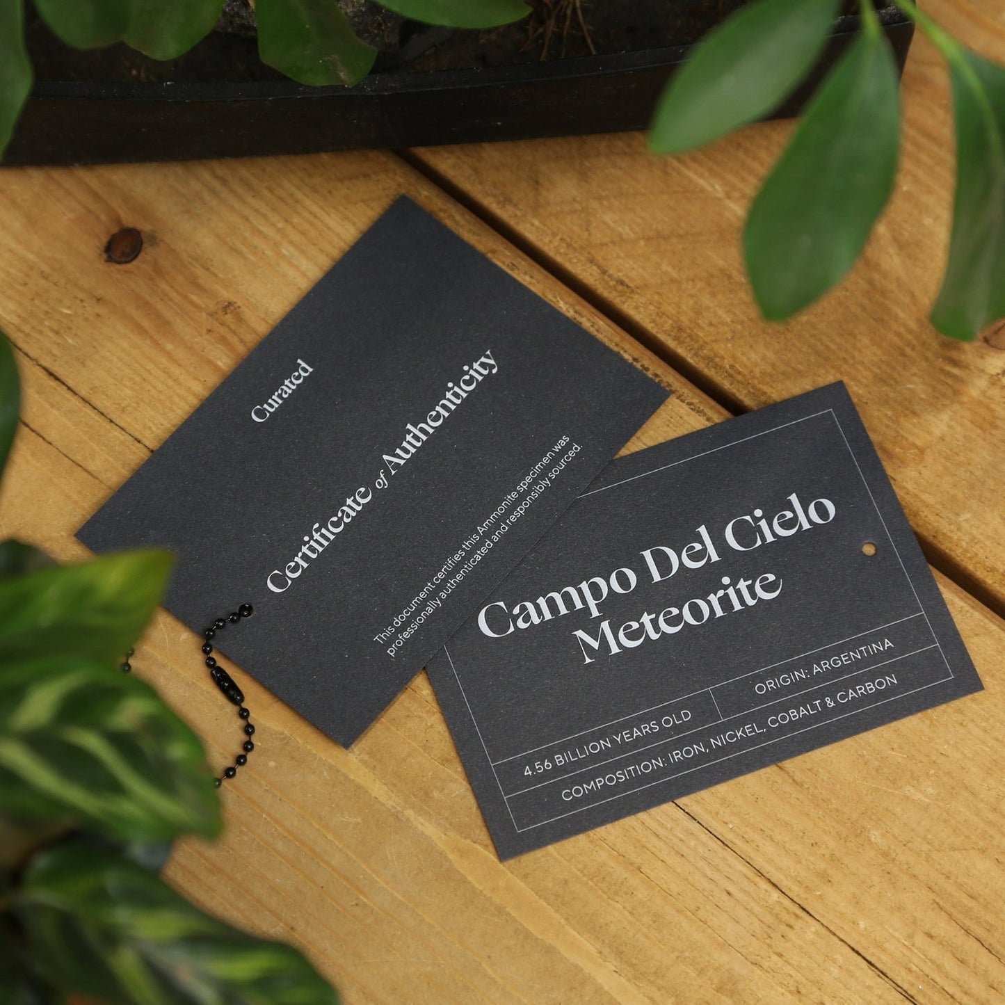 Campo Del Cielo Meteorite