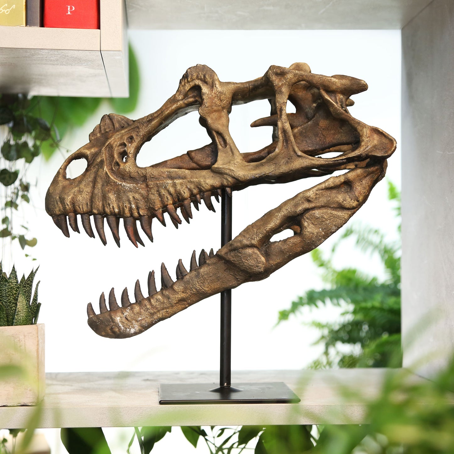 Ceratosaurus
