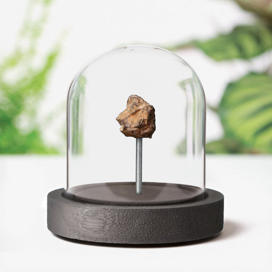 Chondrite Meteorite