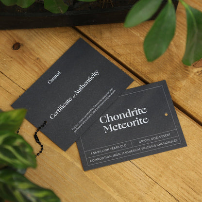 Chondrite Meteorite
