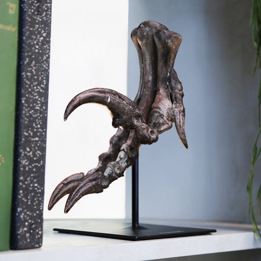 Velociraptor Killing Claw