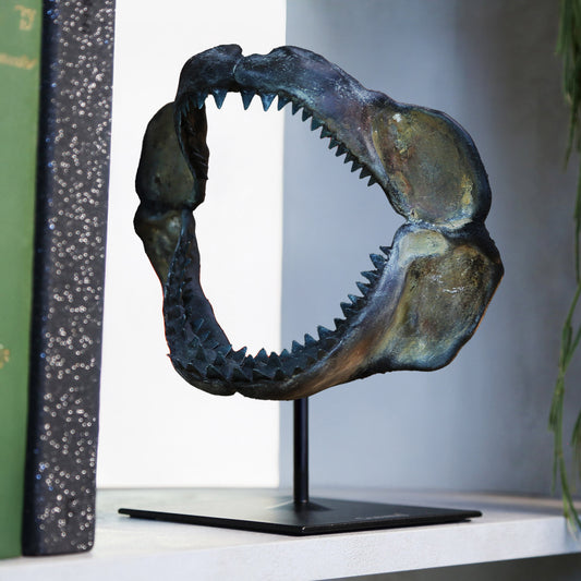 Megalodon