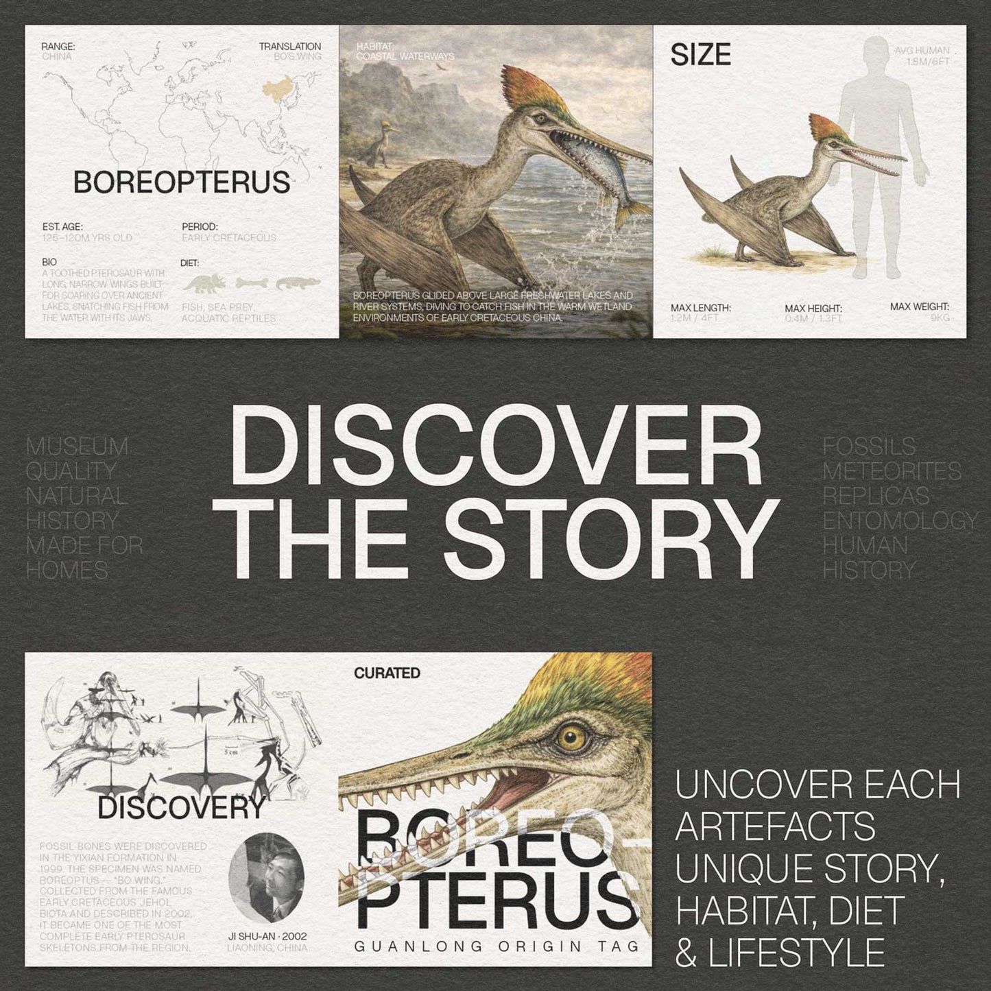 Boreopterus