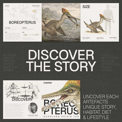 Boreopterus