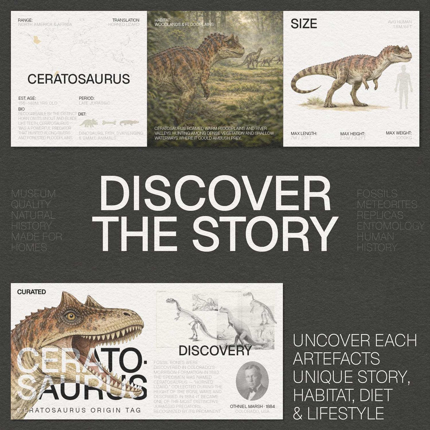 Ceratosaurus
