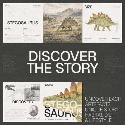 Stegosaurus Bone