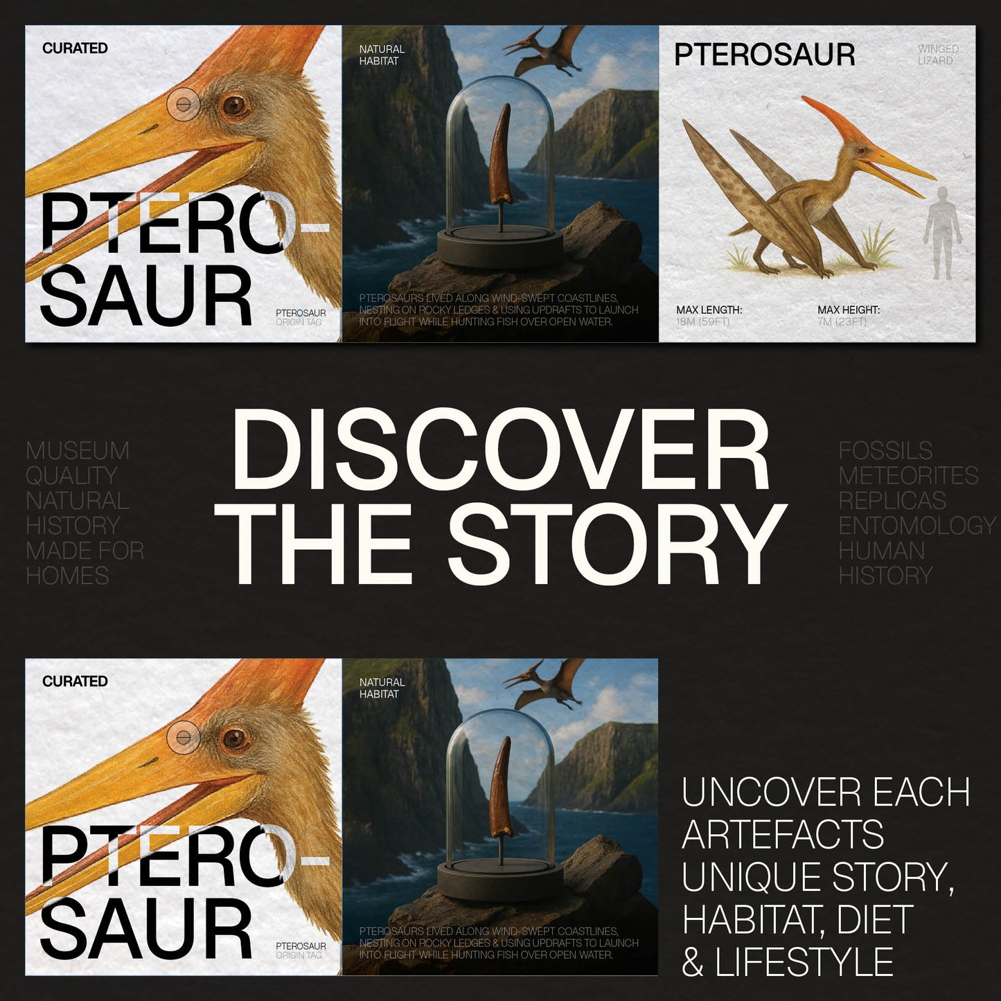 Pterosaur Tooth