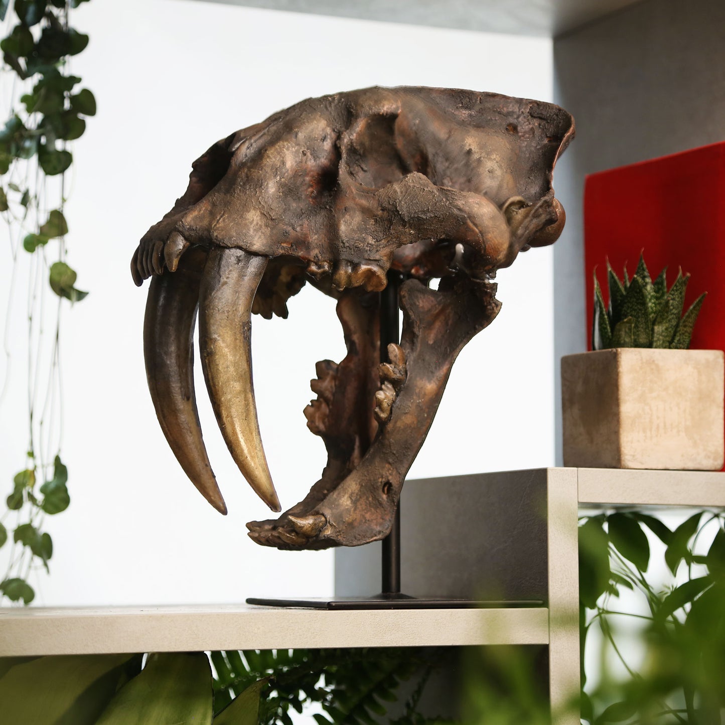 Smilodon Saber-Toothed Cat