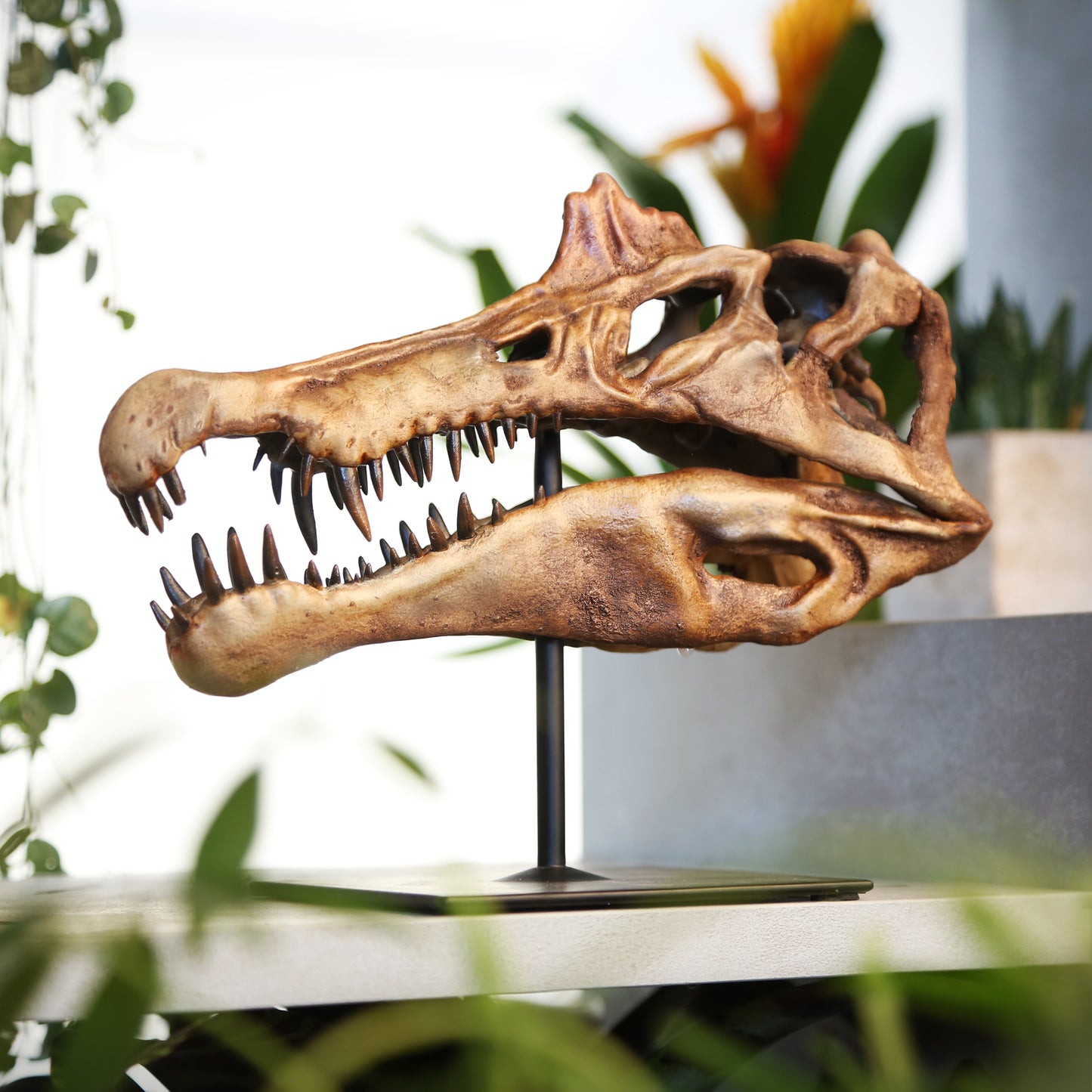 Spinosaurus