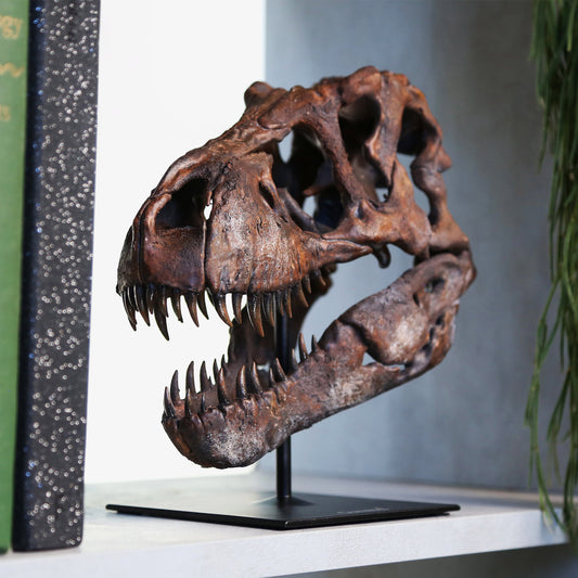 Tyrannosaurus Rex