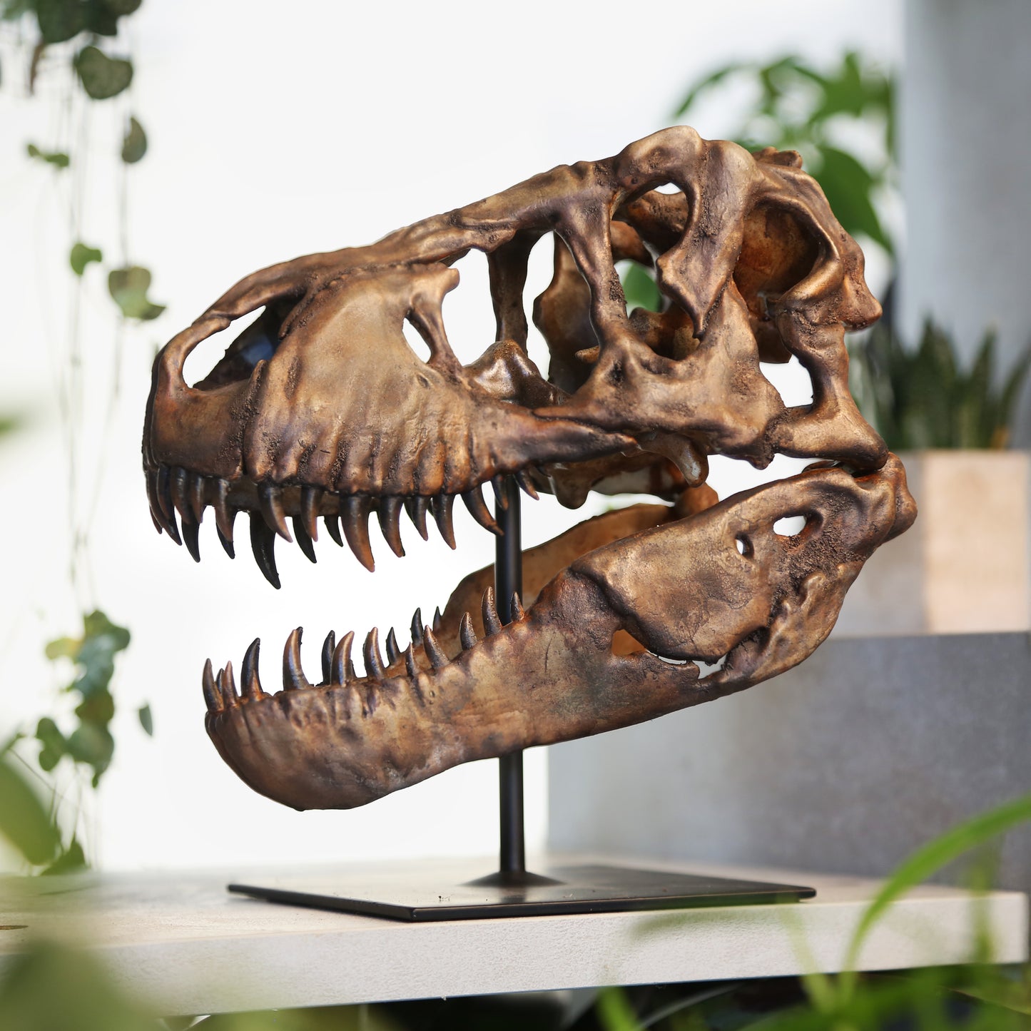 Tyrannosaurus Rex