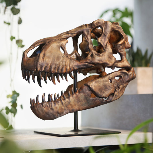 Tyrannosaurus Rex