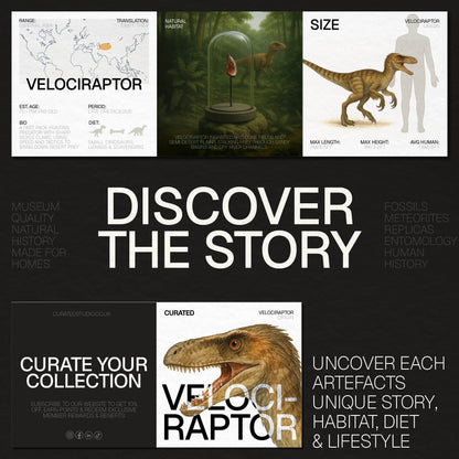 Velociraptor Killing Claw