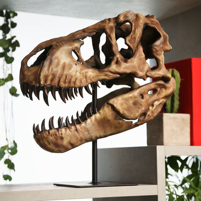Tyrannosaurus Rex