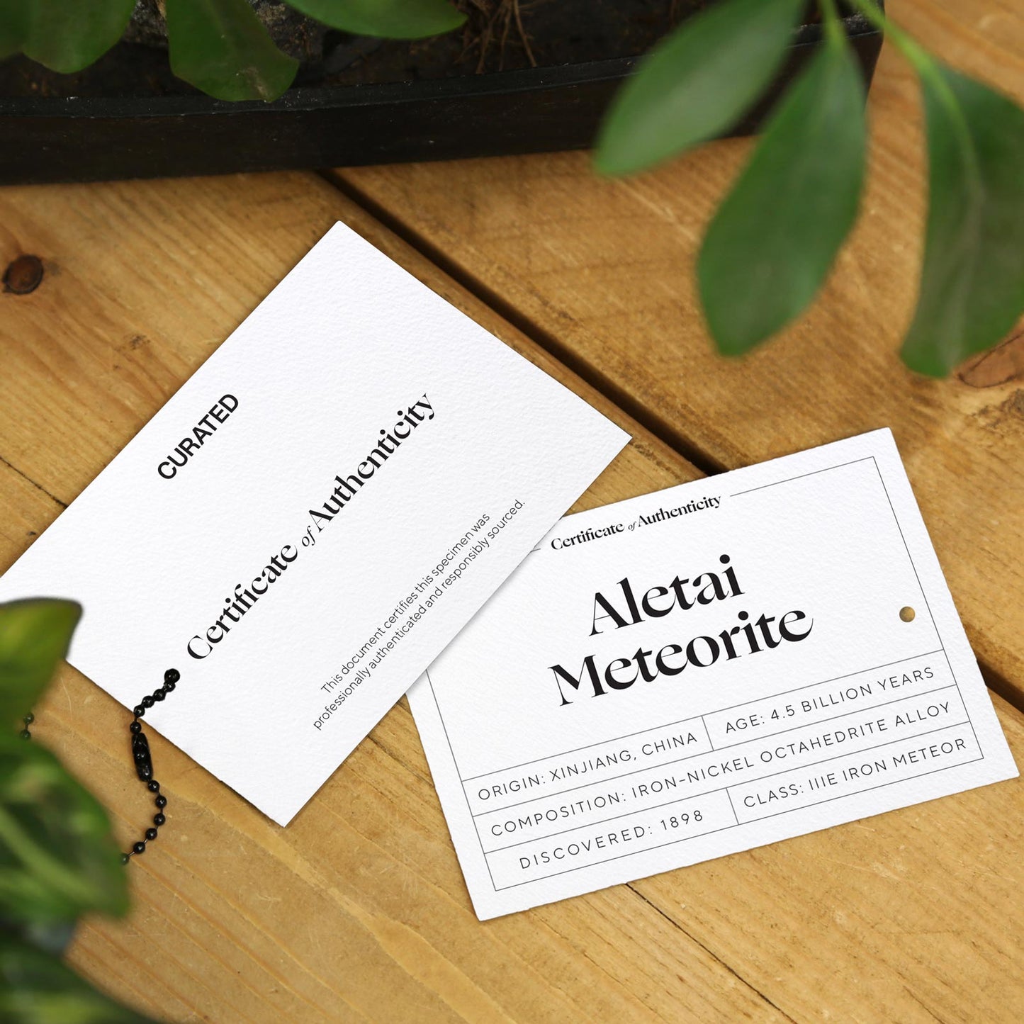 Aletai Meteorite