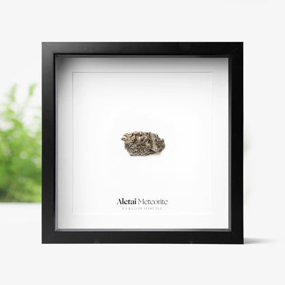 Aletai Meteorite