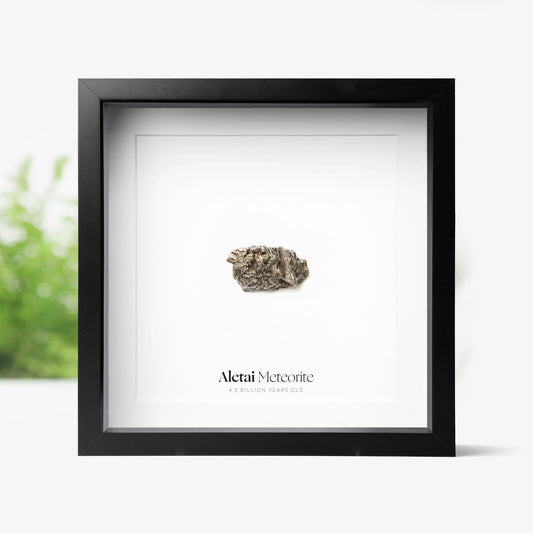 Aletai Meteorite