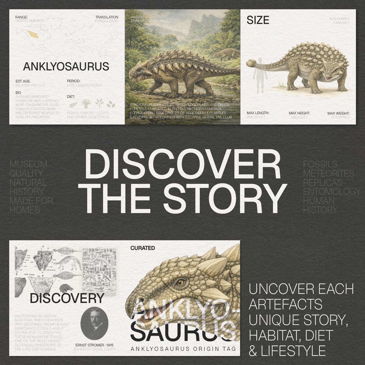 Ankylosaurus