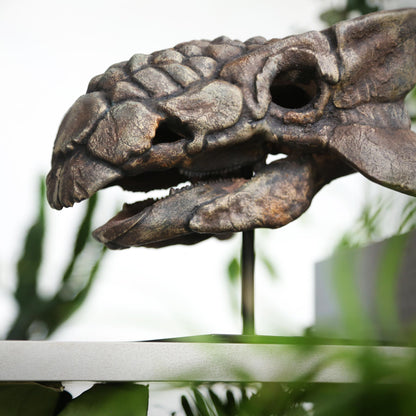 Ankylosaurus