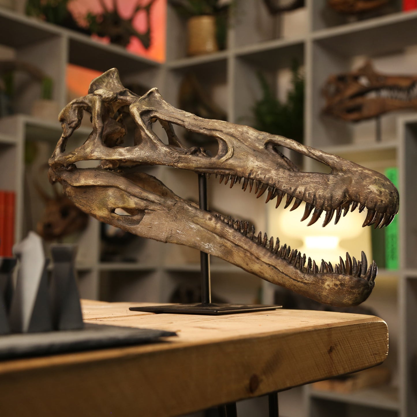 Baryonyx