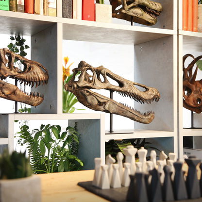 Baryonyx