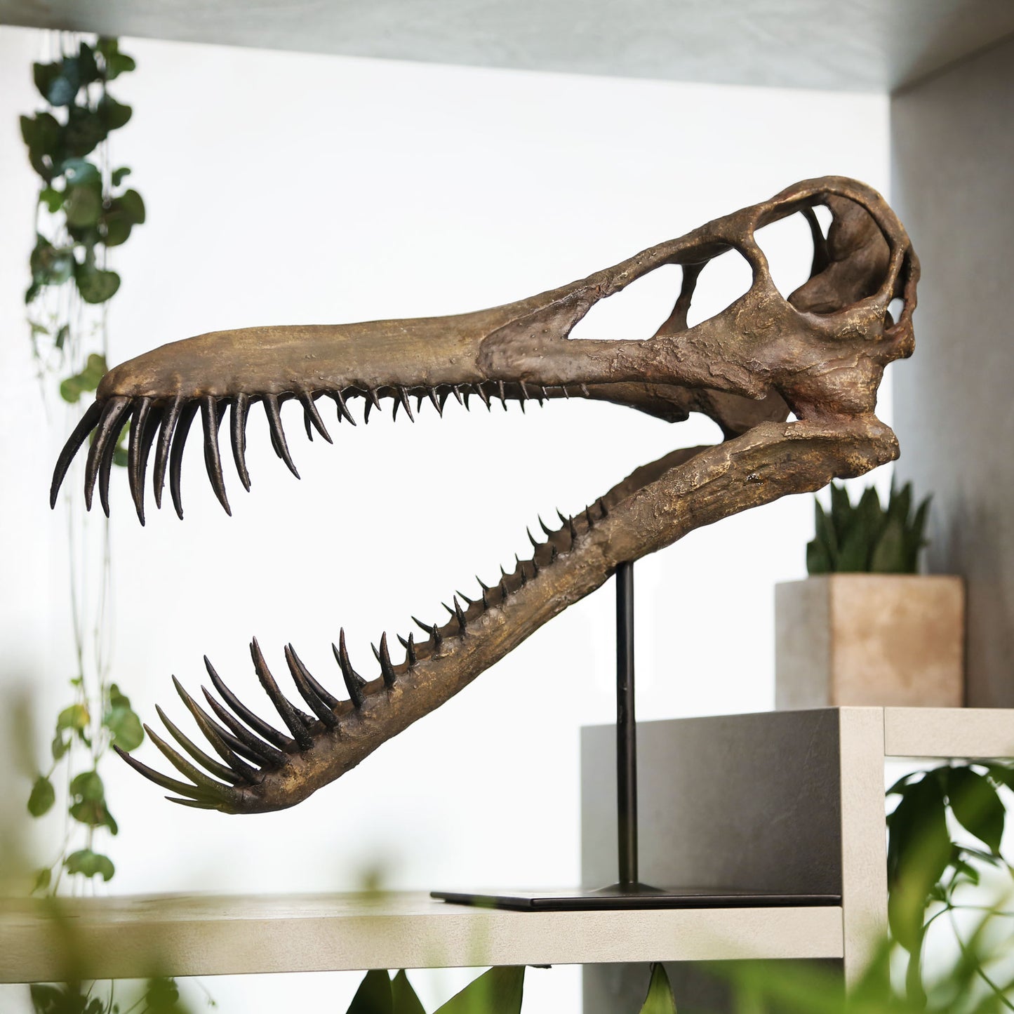 Boreopterus
